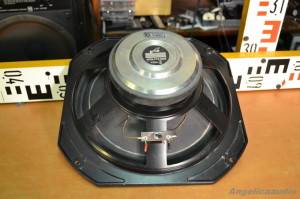 TVM ARN 312-00-8 Angelicaaudio