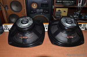 Tesla ARN 8608 Angelicaaudio